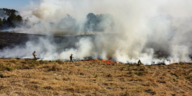 Bombeiros alertam: fogo em terrenos baldios pode causar grandes incêndios