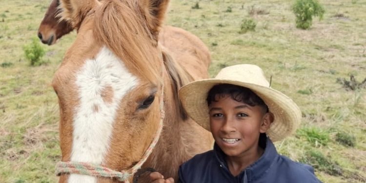 Policiais civis ajudam menino a encontrar seu cavalo que havia sumido em Palmas