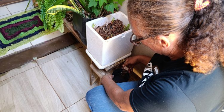 Paraná tem queda de 85% nos casos de dengue em 2025, aponta Secretaria da Saúde