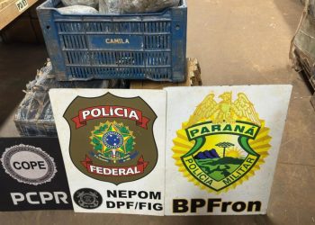 PMPR apreende quase 100 quilos de droga em porto clandestino