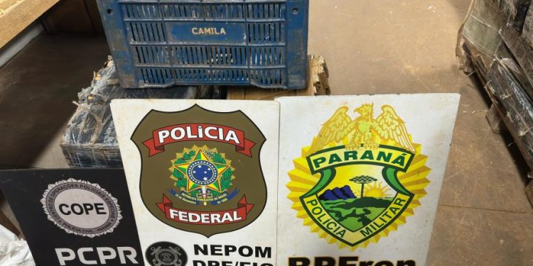 PMPR apreende quase 100 quilos de droga em porto clandestino