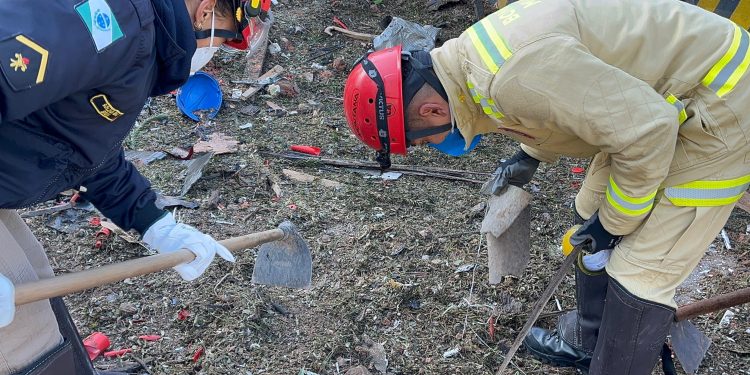 Dedicação total: 50 profissionais estão envolvidos nas buscas por vestígios da explosão na RMC