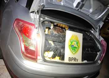 PMPR apreende mais de uma tonelada de maconha nas estradas paranaenses durante fim de semana