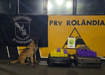 PMPR apreende 25 quilos de maconha em ônibus na cidade de Rolândia