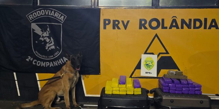 PMPR apreende 25 quilos de maconha em ônibus na cidade de Rolândia