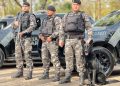 1ª Cãocorrida da CIOC celebra sucesso de cães da PM no combate ao crime