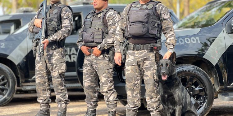 1ª Cãocorrida da CIOC celebra sucesso de cães da PM no combate ao crime