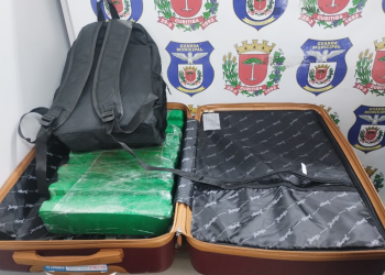 Guarda Municipal apreende 37 quilos de maconha em mala na Rodoferroviária de Curitiba