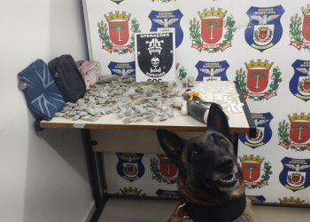 Guarda Municipal apreende drogas em estojo de pelúcia