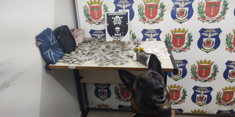 Guarda Municipal apreende drogas em estojo de pelúcia