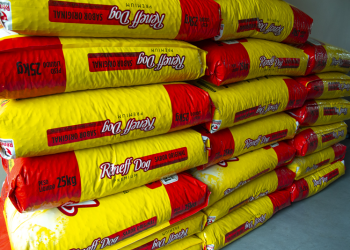 Banco Municipal faz repasse de 3,4 toneladas de ração para cães e gatos de protetores e ONGs