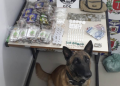 Grupo de Operações com Cães da Guarda apreende entorpecentes em Curitiba