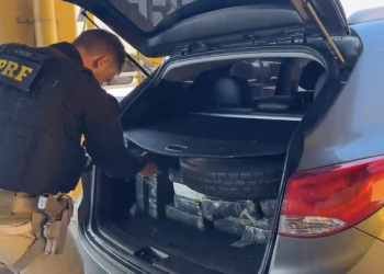 PRF apreende quase meia tonelada de maconha após perseguição