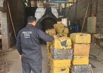 PCPR incinera mais de quatro toneladas de drogas em Campina Grande do Sul