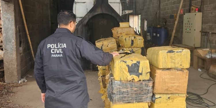 PCPR incinera mais de quatro toneladas de drogas em Campina Grande do Sul