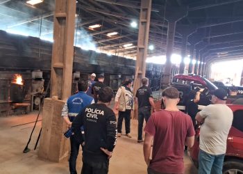 PCPR incinera 1,2 tonelada de drogas e destrói 1,5 mil litros de bebidas falsificadas em Araucária