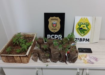 PCPR e PMPR prendem homem em flagrante por tráfico de drogas