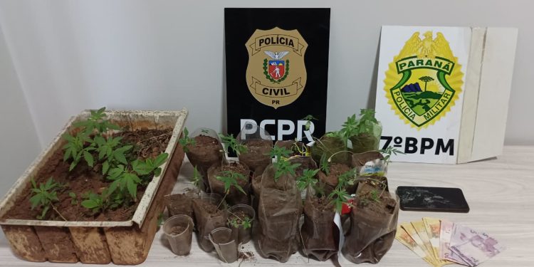 PCPR e PMPR prendem homem em flagrante por tráfico de drogas