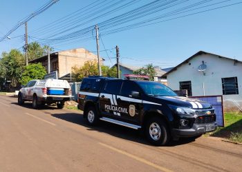 PCPR resgata quatro cães vítimas de maus-tratos em Francisco Beltrão