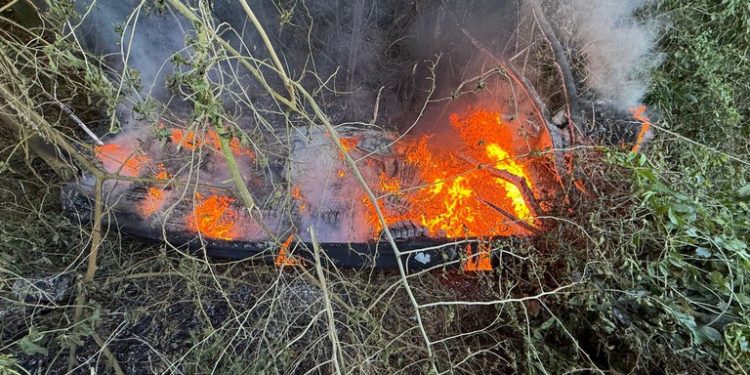 PF e BPFRON aprendem 746 kg de maconha em operação fluvial
