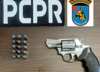 PCPR e PMPR prendem homem por posse ilegal de arma de fogo em Pinhais