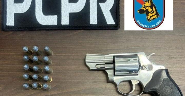 PCPR e PMPR prendem homem por posse ilegal de arma de fogo em Pinhais
