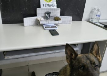 PM fecha biqueira no Mossunguê e apreende drogas