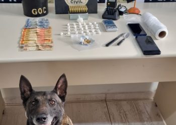 Drogas e munições são apreendidas em ação conjunta da Polícia Civil e GCM em Ponta Grossa