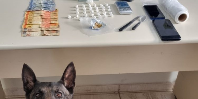 Drogas e munições são apreendidas em ação conjunta da Polícia Civil e GCM em Ponta Grossa