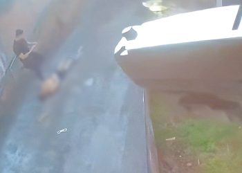 Ladrão de carros com várias passagens pela polícia tenta fugir e acaba preso pela DRFV