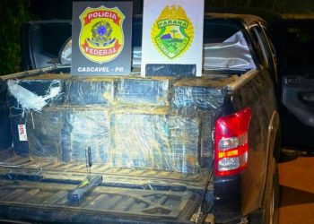 Polícia apreende mais de 1 tonelada de maconha em operação integrada na BR-277