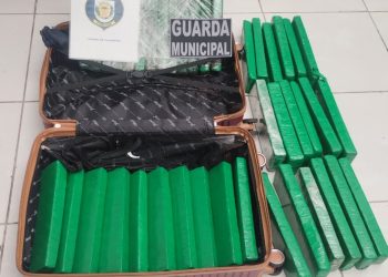 Guarda Municipal apreende 37 kg de maconha em mala na Rodoferroviária de Curitiba