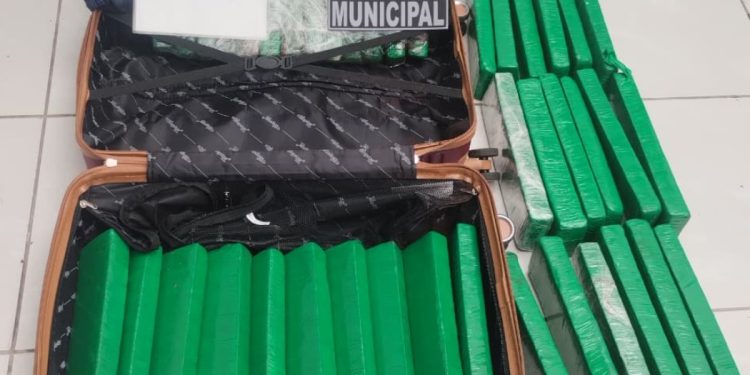 Guarda Municipal apreende 37 kg de maconha em mala na Rodoferroviária de Curitiba