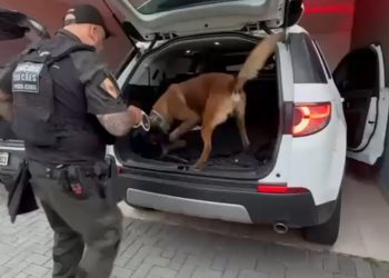 Polícia Civil cumpre 59 mandados contra organização criminosa que despachava drogas pelos Correios