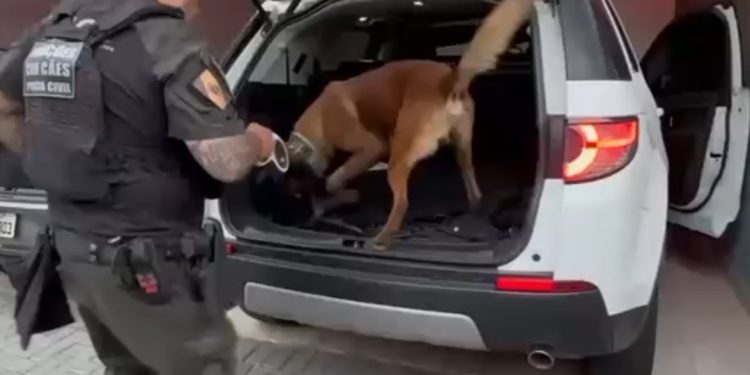 Polícia Civil cumpre 59 mandados contra organização criminosa que despachava drogas pelos Correios