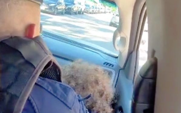 Guardas municipais salvam criança de 3 anos que estava engasgada