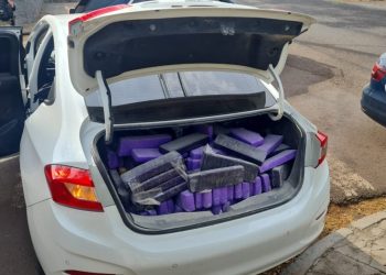PRF apreende quase meia tonelada de maconha e recupera veículo roubado em Maringá