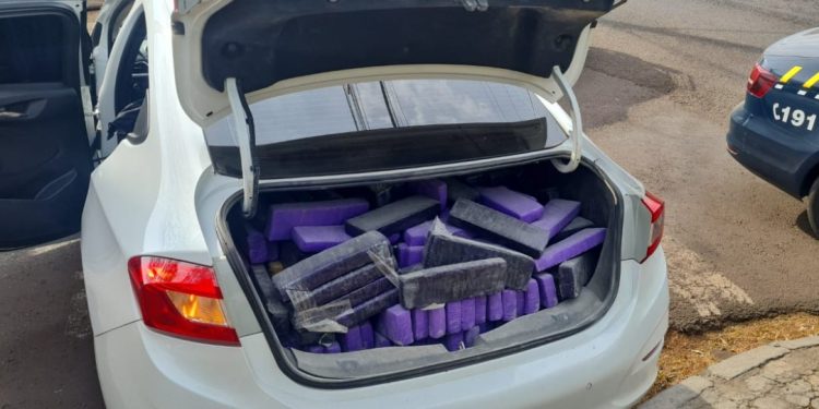 PRF apreende quase meia tonelada de maconha e recupera veículo roubado em Maringá