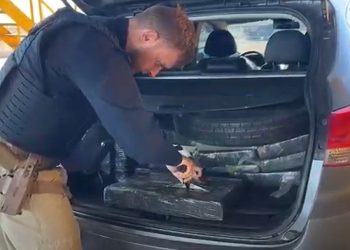 PRF apreende quase meia tonelada de maconha após acompanhamento tático na BR-277