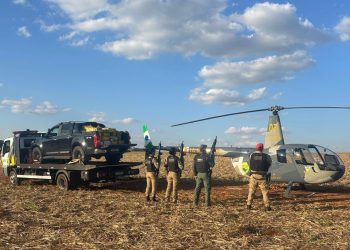 Polícia Militar apreende quase uma tonelada de maconha no Paraná