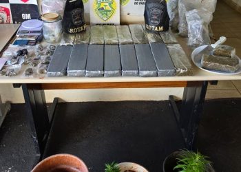 Polícia prende dois homens por tráfico de drogas; mais de 13 kg de entorpecentes foram apreendidos