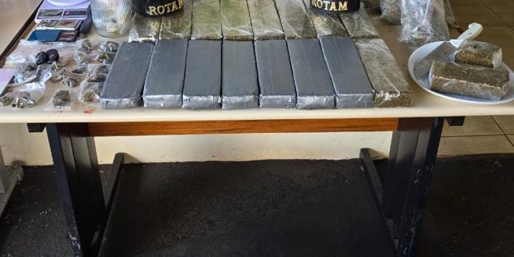 Polícia prende dois homens por tráfico de drogas; mais de 13 kg de entorpecentes foram apreendidos