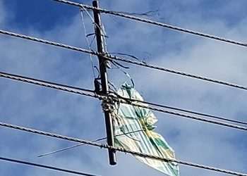 Proibido por lei no Paraná, cerol de pipas corta linhas de energia e põe vidas em risco