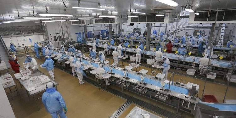 Paraná tem 25,9 mil vagas nas Agências do Trabalhador, com destaque em Curitiba e Cascavel