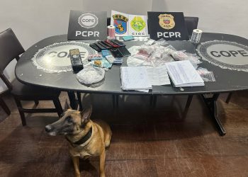 PCPR e PMPR prendem casal em flagrante por tráfico de drogas em Tijucas do Sul