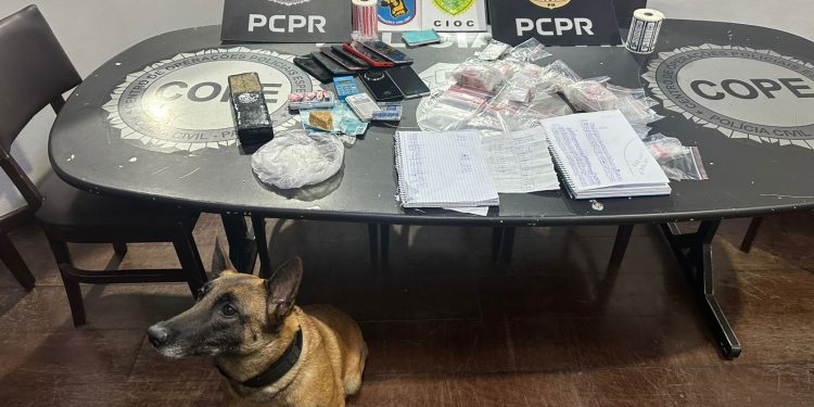 PCPR e PMPR prendem casal em flagrante por tráfico de drogas em Tijucas do Sul