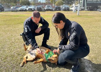 Contagem regressiva: inscrições estão abertas para o último lote da XVIII Corrida da PCPR