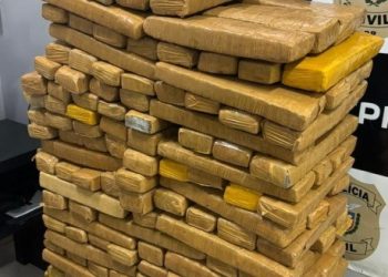 PMPR recupera veículo furtado e apreende mais de 220 quilos de maconha