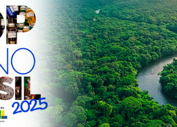 Câmara aprova transferir capital do Brasil para Belém durante COP30