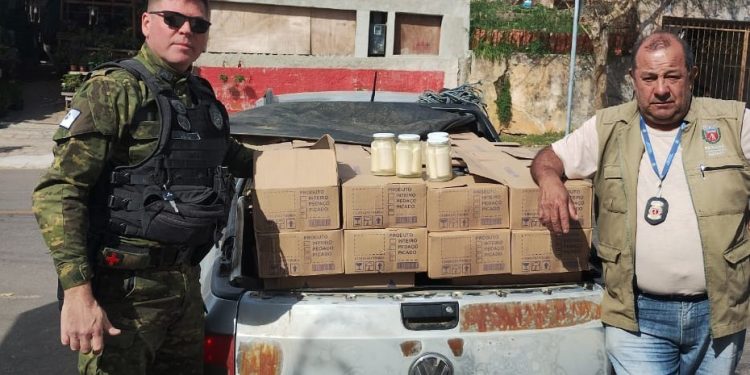 IAT apreende 288 quilos de palmito ilegal na Região Metropolitana de Curitiba